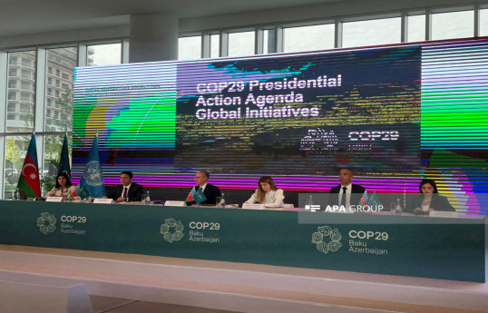 В рамках COP29 будут предприняты шаги по накоплению в Фонде климатического финансирования $1 млрд. инвестиций