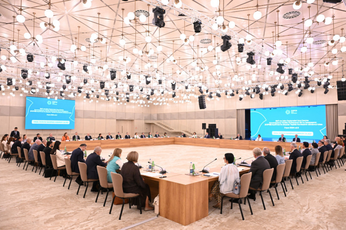 Состоялось четвертое заседание Оргкомитета по COP29