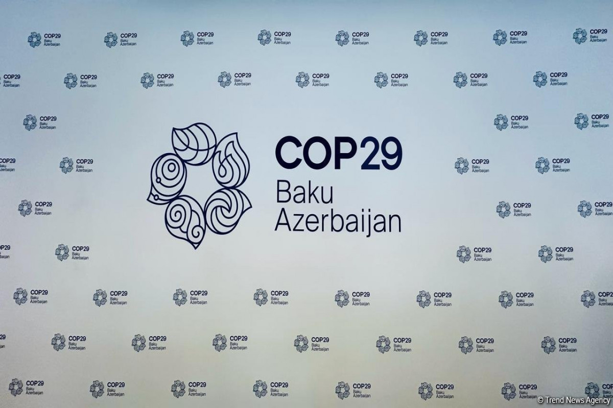 GECF: COP29 будет иметь большой успех