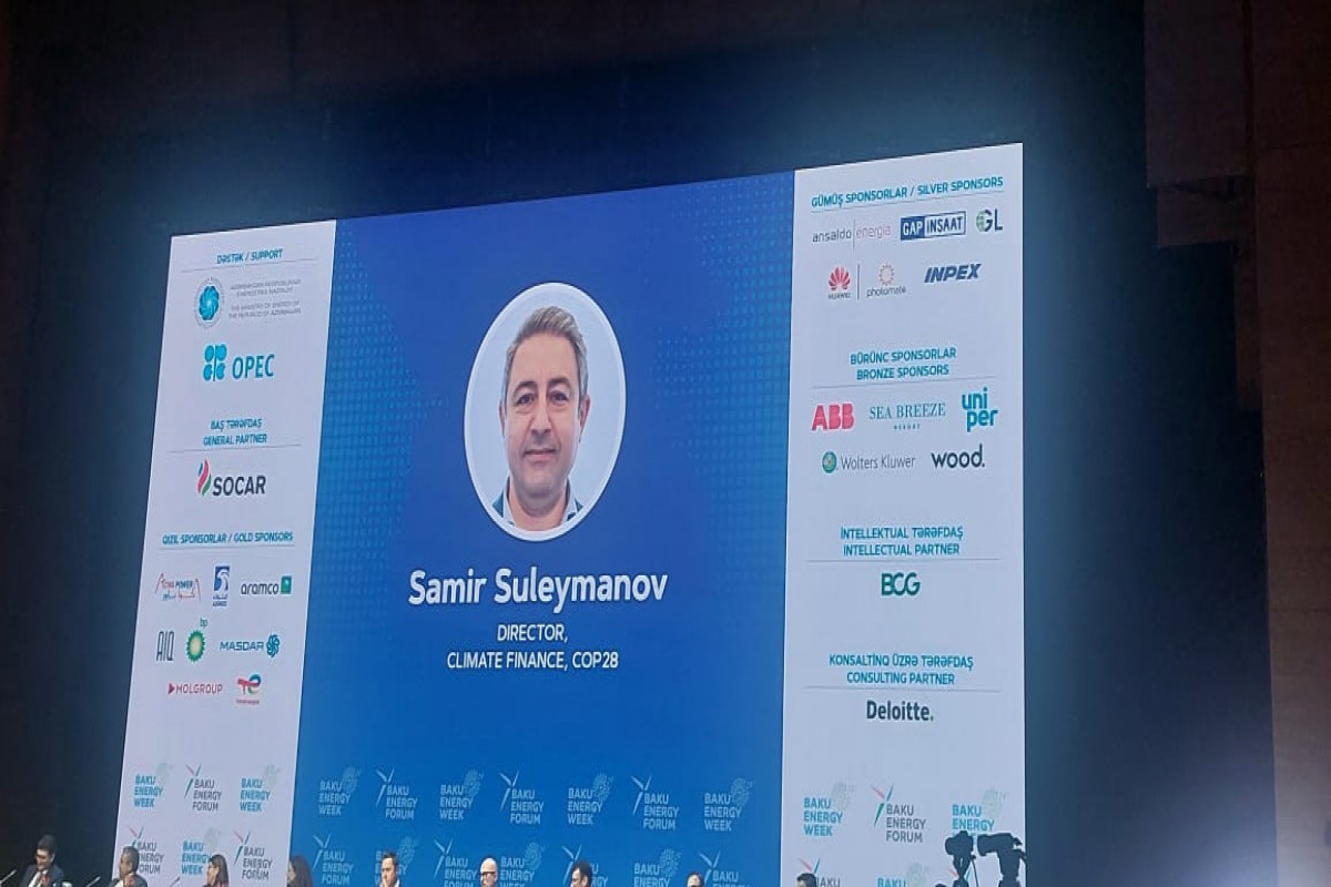 Самир Сулейманов: Баку добьется высоких результатов от COP29