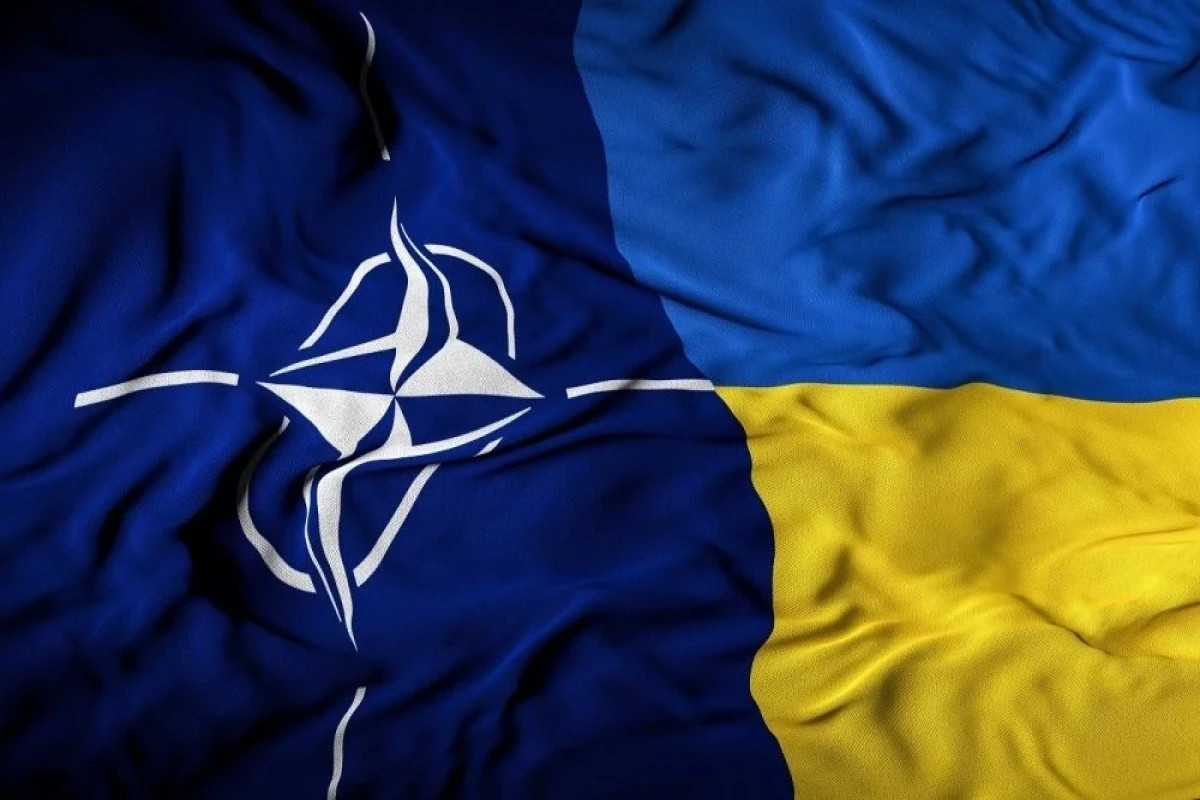 НАТО планирует отправить спецпредставителя в Украину