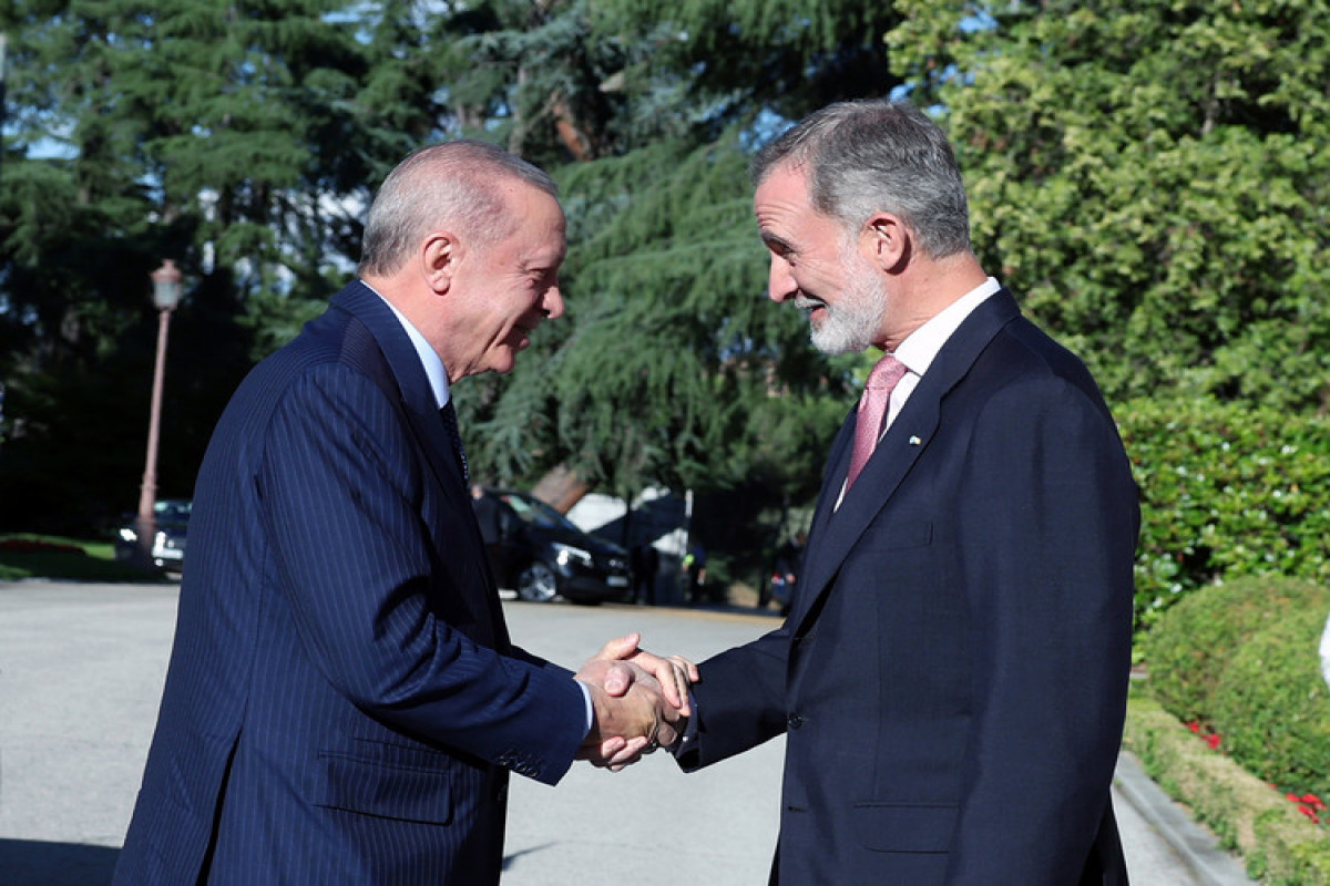 Эрдоган встретился с королем Испании -ФОТО 