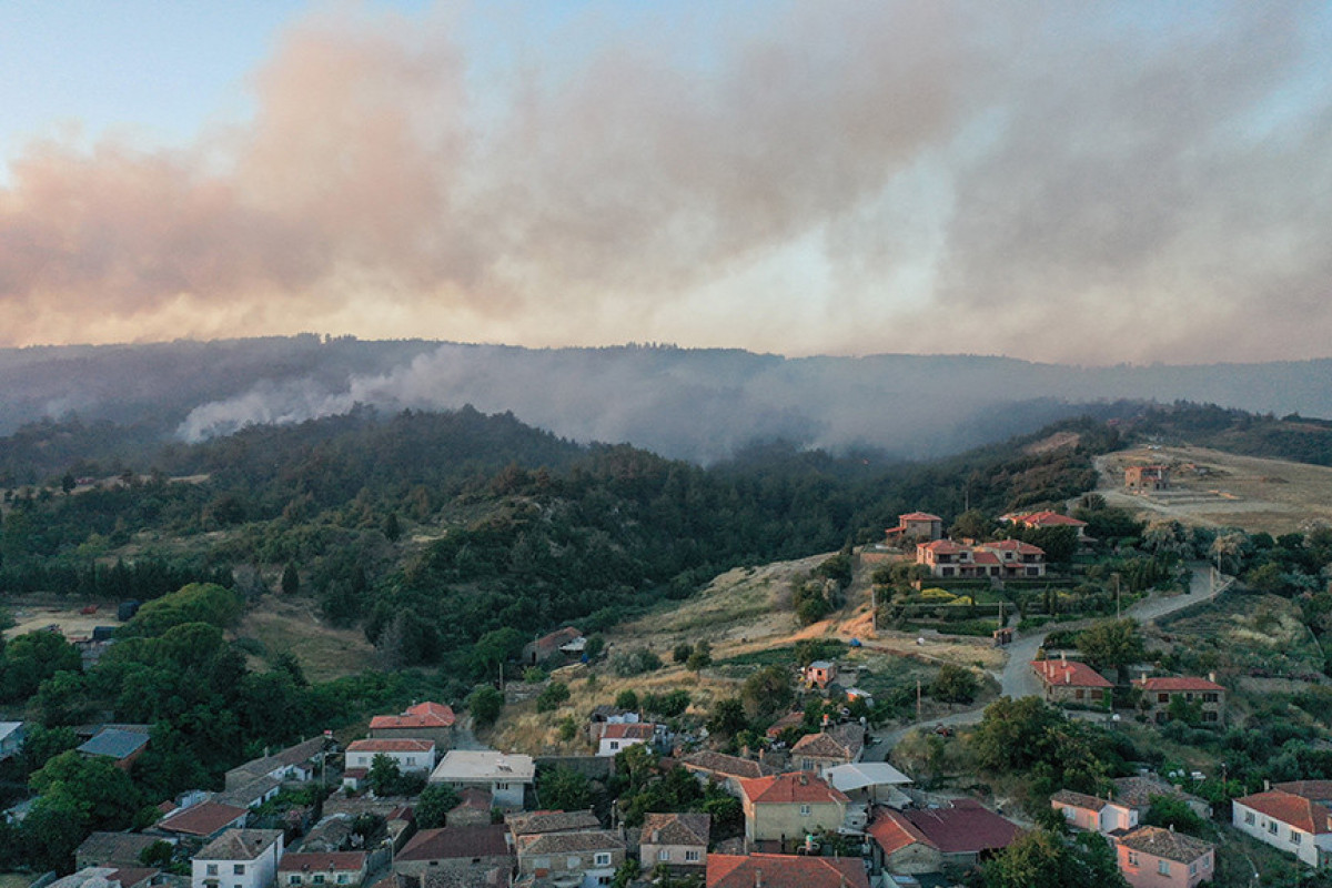 В Турции начались лесные пожары