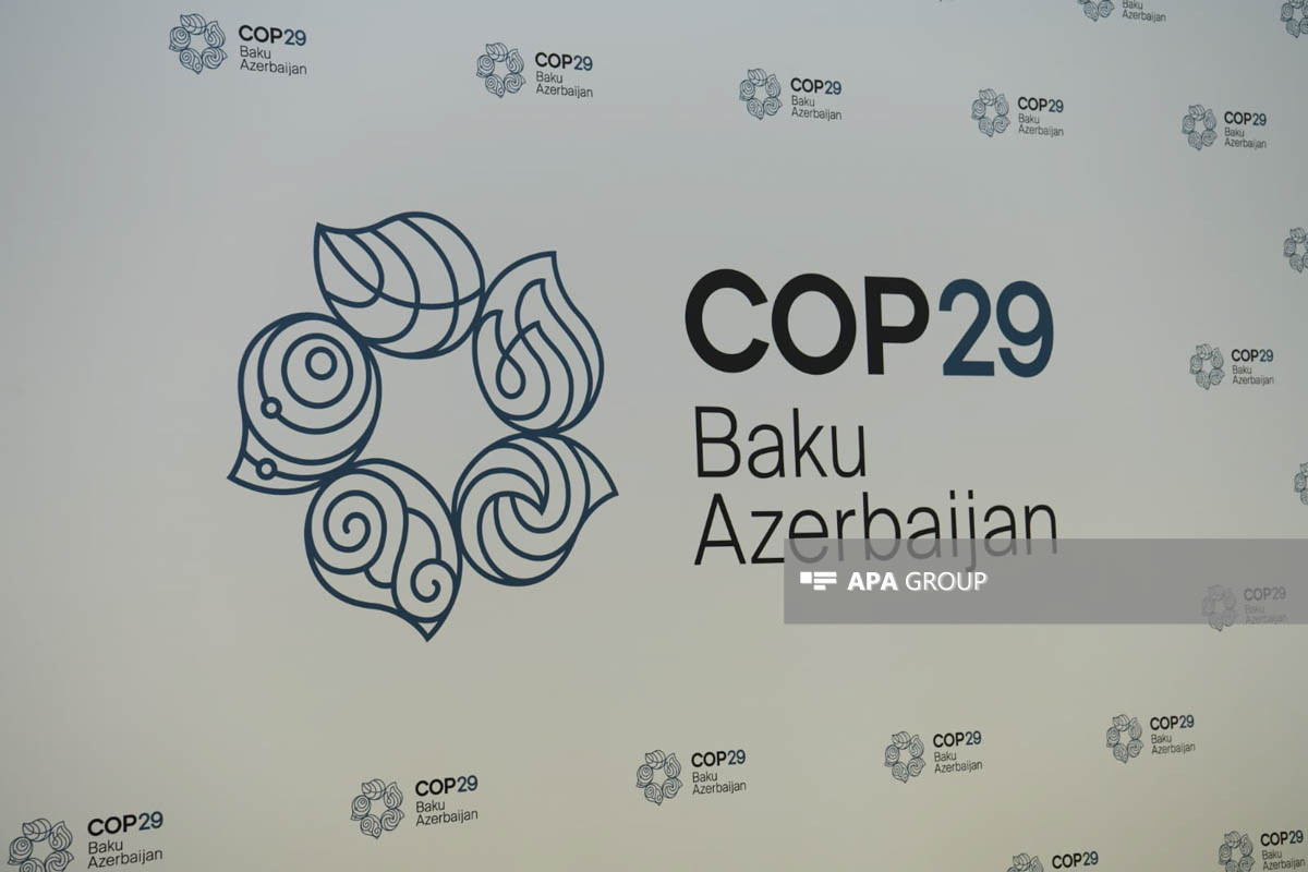 В Баку проходит заседание на тему «Дорога к COP29: устойчивое и прочное  будущее»