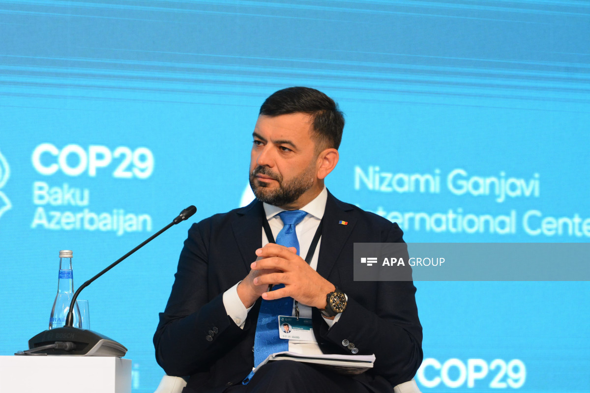 В Баку проведено панельное обсуждение в рамках заседания, посвященного COP29