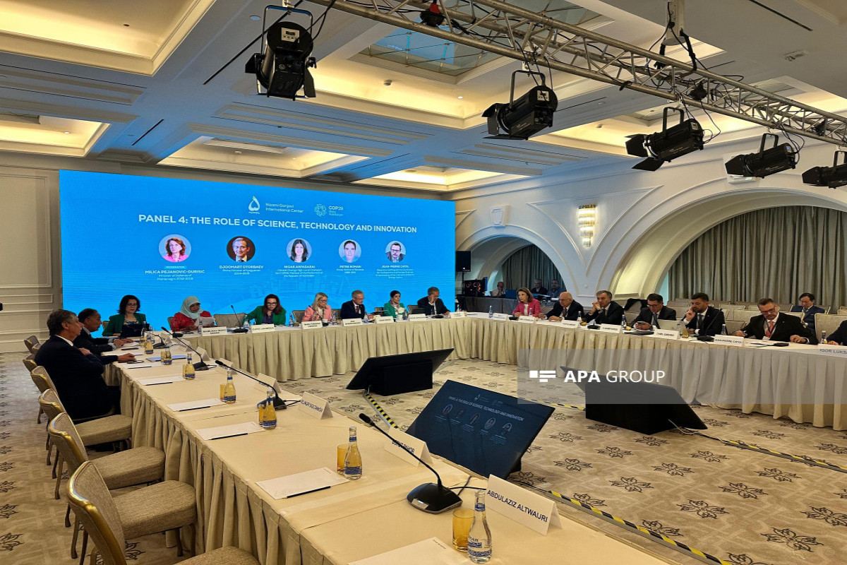 Международное заседание, посвященное COP29