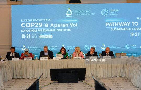 Панельное обсуждение «Путь к COP29: Устойчивое и прочное будущее» в рамках 29-го Заседания высокого уровня