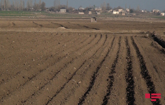 В Азербайджане создается гибкий механизм изменения целевого назначения сельскохозяйственных земель