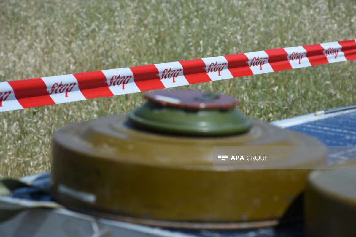 На освобожденных территориях Азербайджана обнаружено еще 187 мин, 204 боеприпасов
