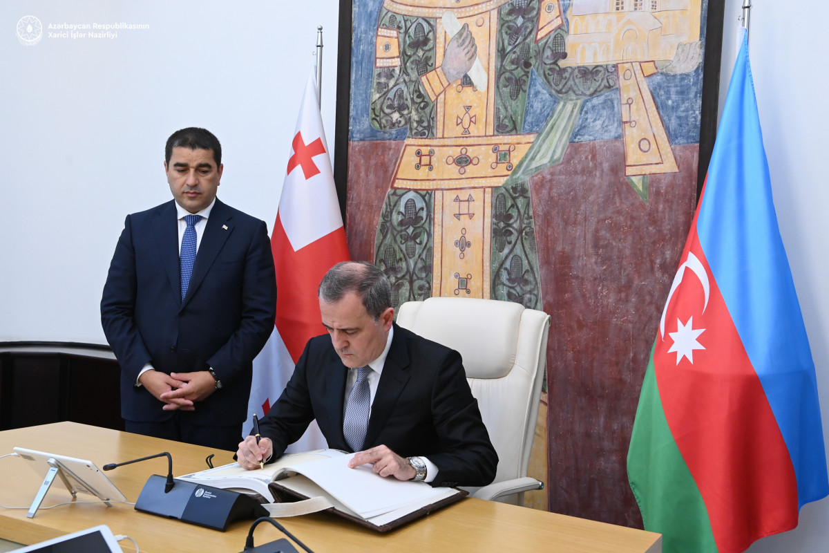 Глава МИД Азербайджана обсудил ситуацию в регионе со спикером парламента Грузии
