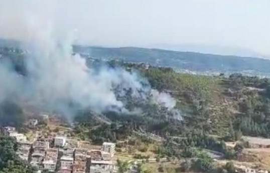 В Измире вспыхнул лесной пожар