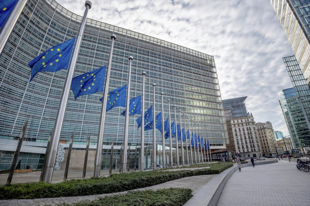 Брюссель пригрозил Тбилиси приостановкой процесса приема в ЕС
