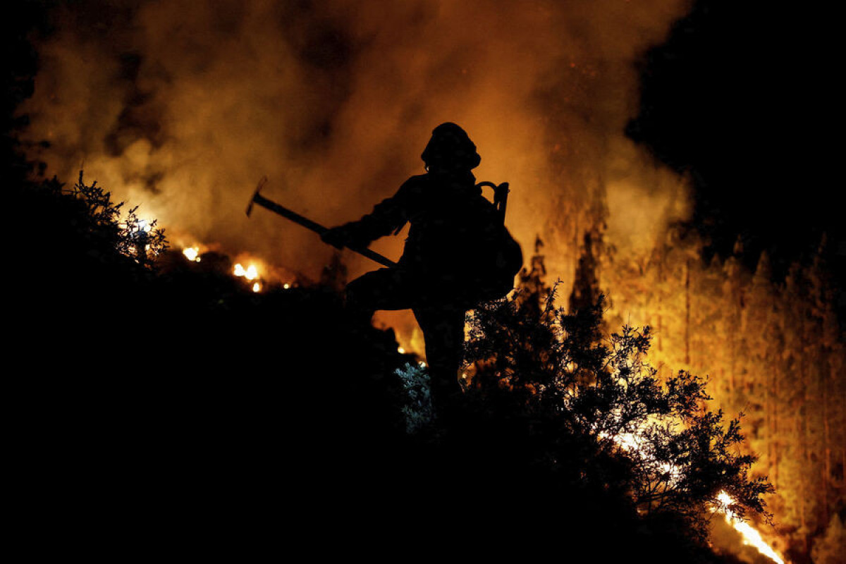 Турцию охватили  лесные пожары