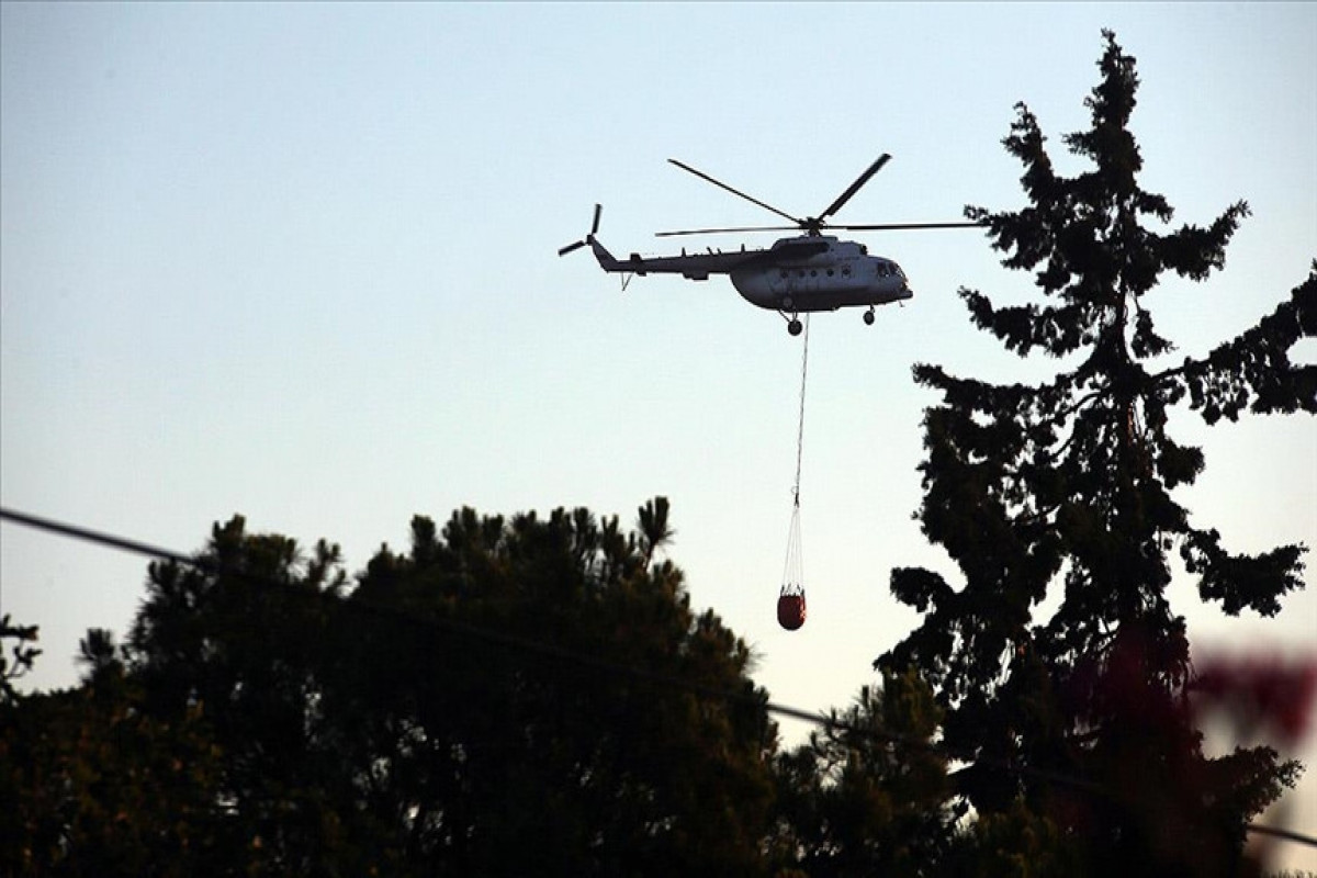 Министр: Лесные пожары в турецких провинциях Измир и Балыкесир взяты под контроль