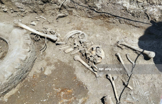 В массовом захоронении в Ходжалы обнаружены останки еще пяти человек
