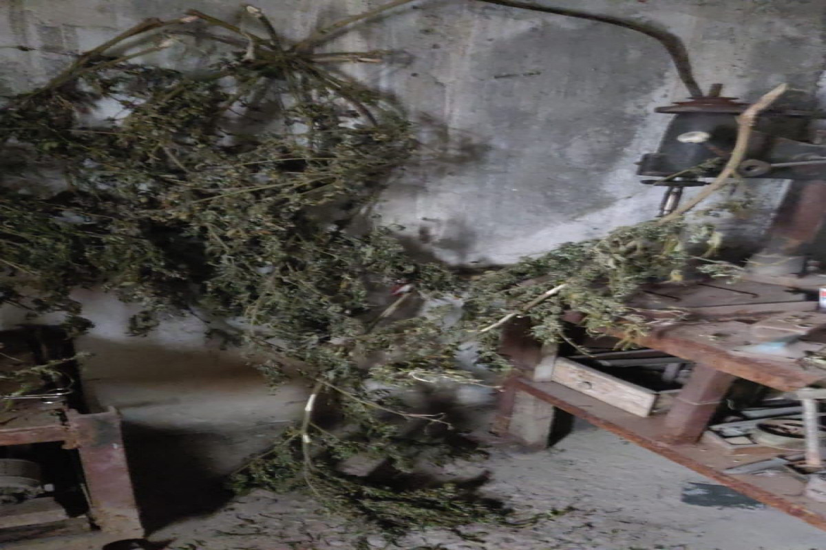 В Ханкенди в гараже обнаружено около 4 кг марихуаны и 13 единиц оружия