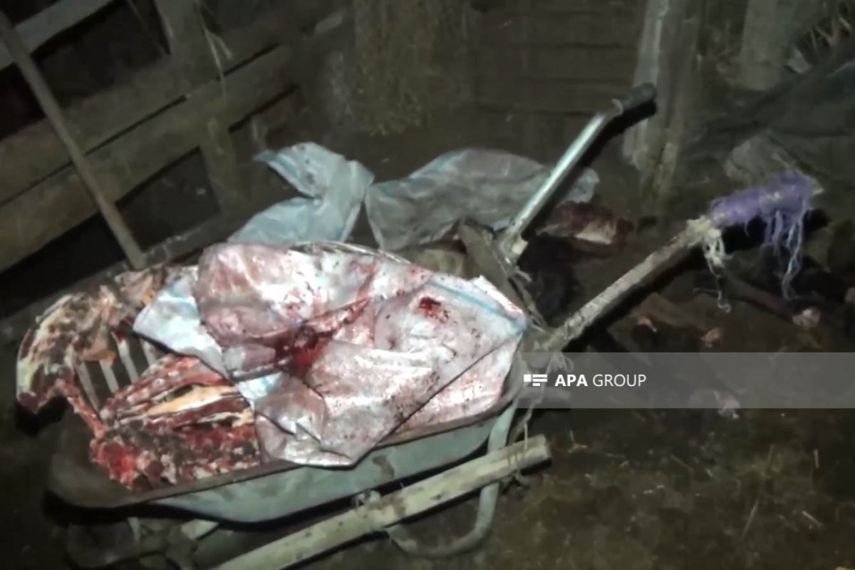 Полиция задержала человека, который занимался поставками мяса умерших лошадей и козлов-<span class="red_color">ВИДЕО