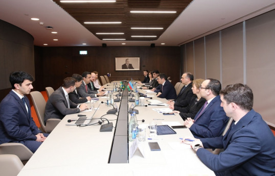 Азербайджан и Бразилия рассмотрели возможности совместной деятельности в рамках COP29