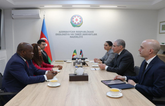 Глава МЭПР Азербайджана встретился с представителем президента Конго
