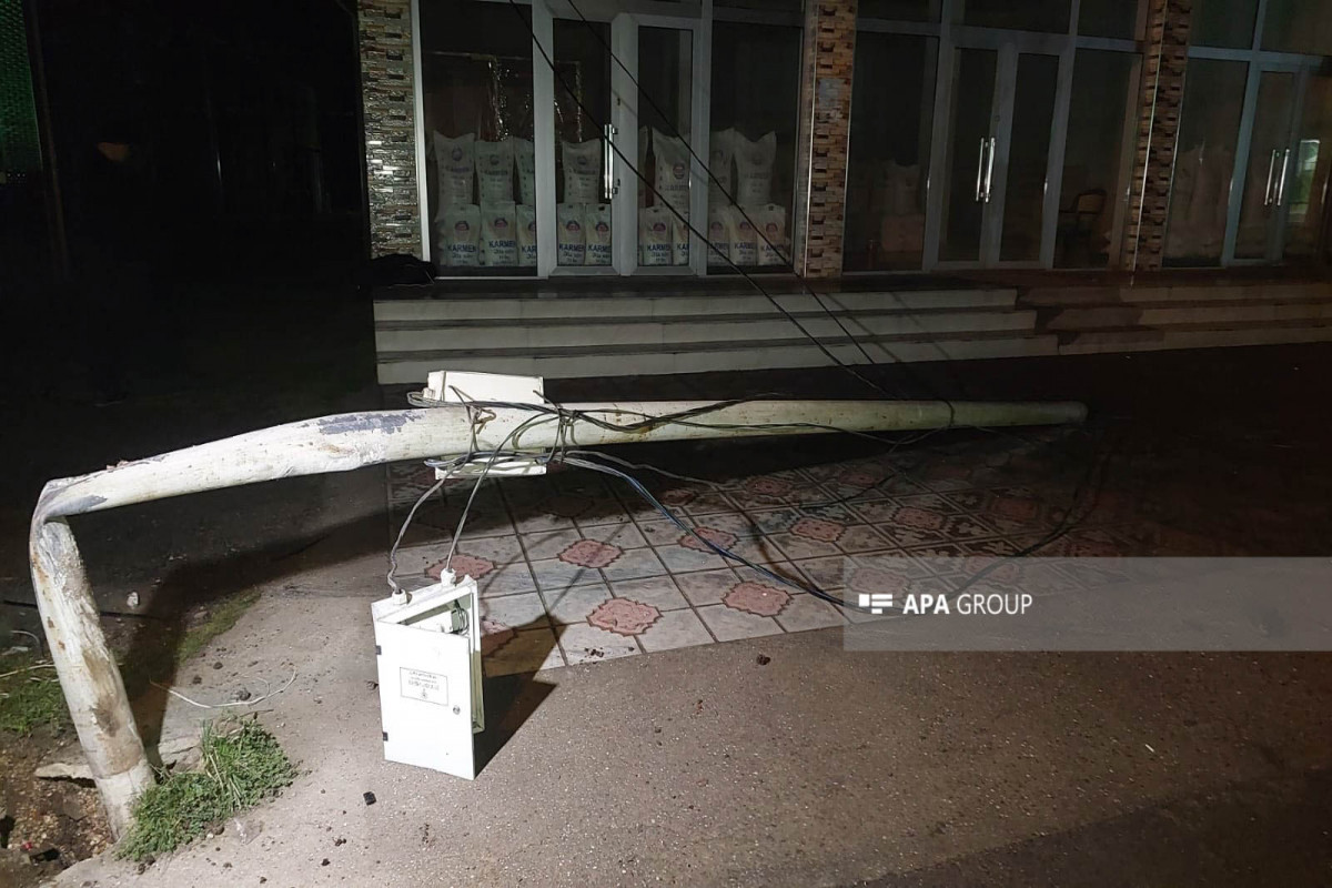 В Астаре «ВАЗ 2107» врезался в электрический столб, погиб водитель -ФОТО 
