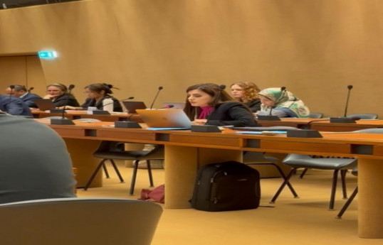 Член Оргкомитета COP29 выступила на мероприятии ООН по правам человека и окружающей среде-ФОТО 