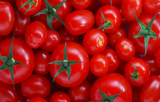 За последние 5 лет Азербайджан на экспорте помидоров заработал около $900 млн