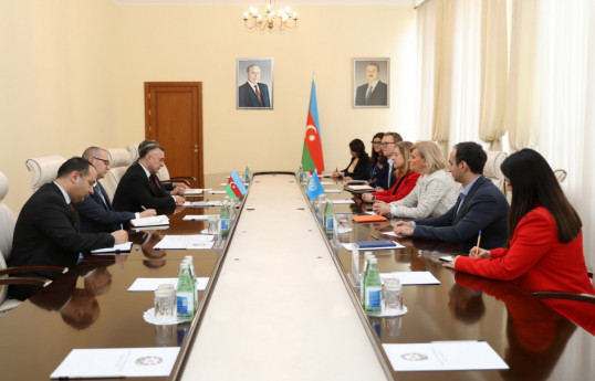 В Минздраве Азербайджана состоялась встреча с должностными лицами ВОЗ, входящими в переговорную группу COP29