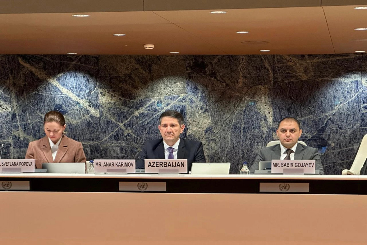 Комитет ООН положительно оценил утверждение программы инклюзивного образования в Азербайджане