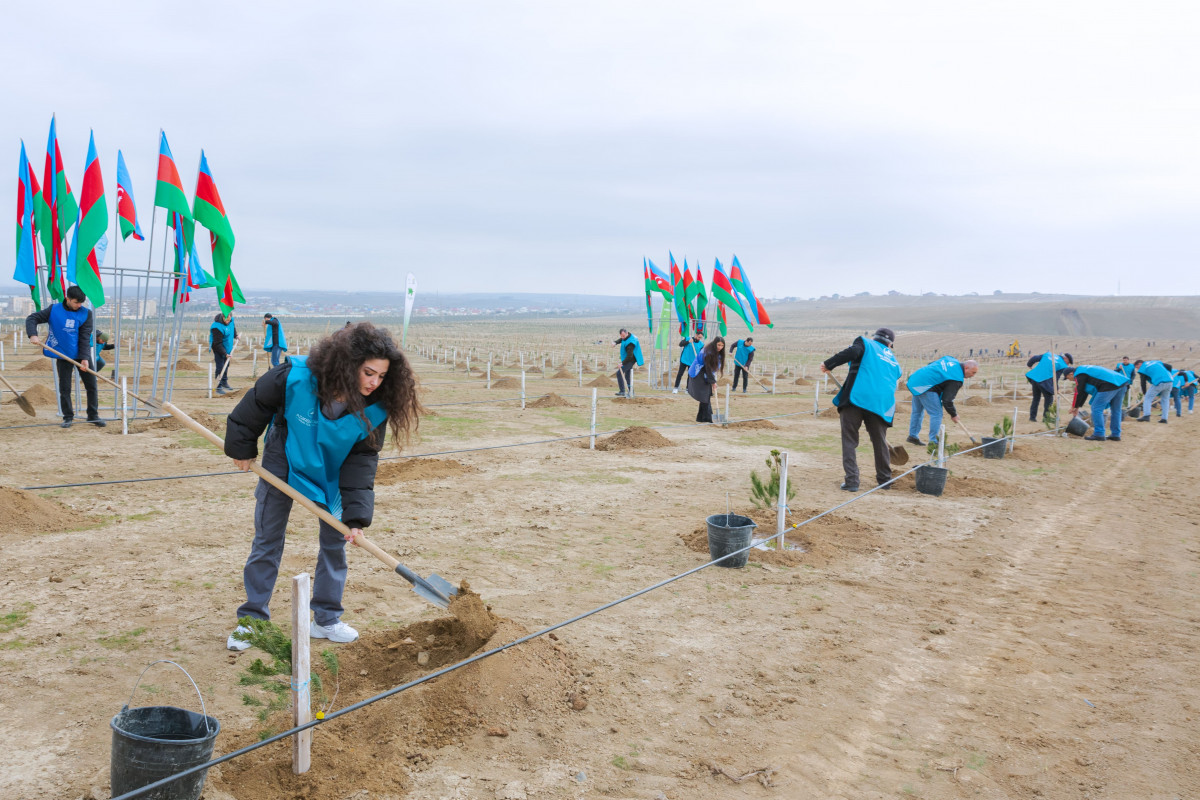 Сотрудники AZAL посадили более 600 деревьев в рамках «Года солидарности во имя зеленого мира» - ФОТО-ВИДЕО 