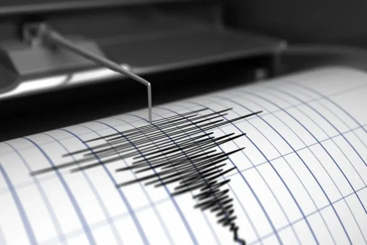 В Пакистане произошло землетрясение магнитудой 5,4