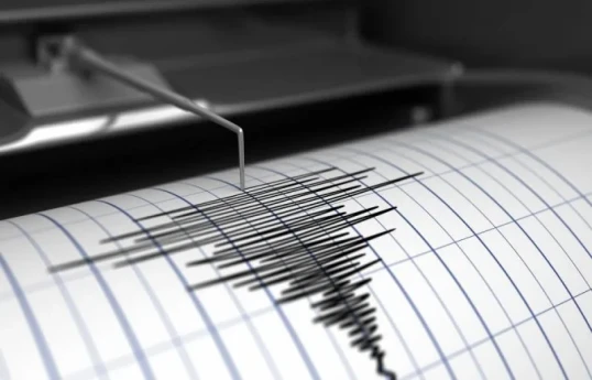 В Пакистане произошло землетрясение магнитудой 5,4