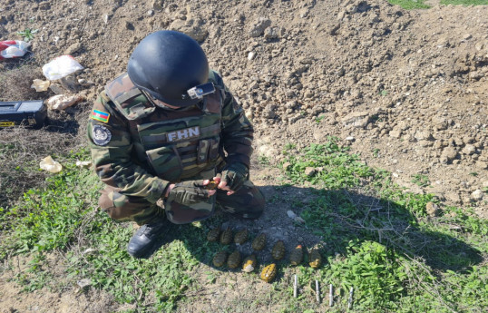 В Хырдалане обнаружено 12 гранат-ВИДЕО 