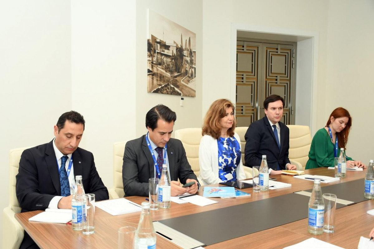 Обсуждено сотрудничество Азербайджана и ЮНЕСКО-ФОТО 