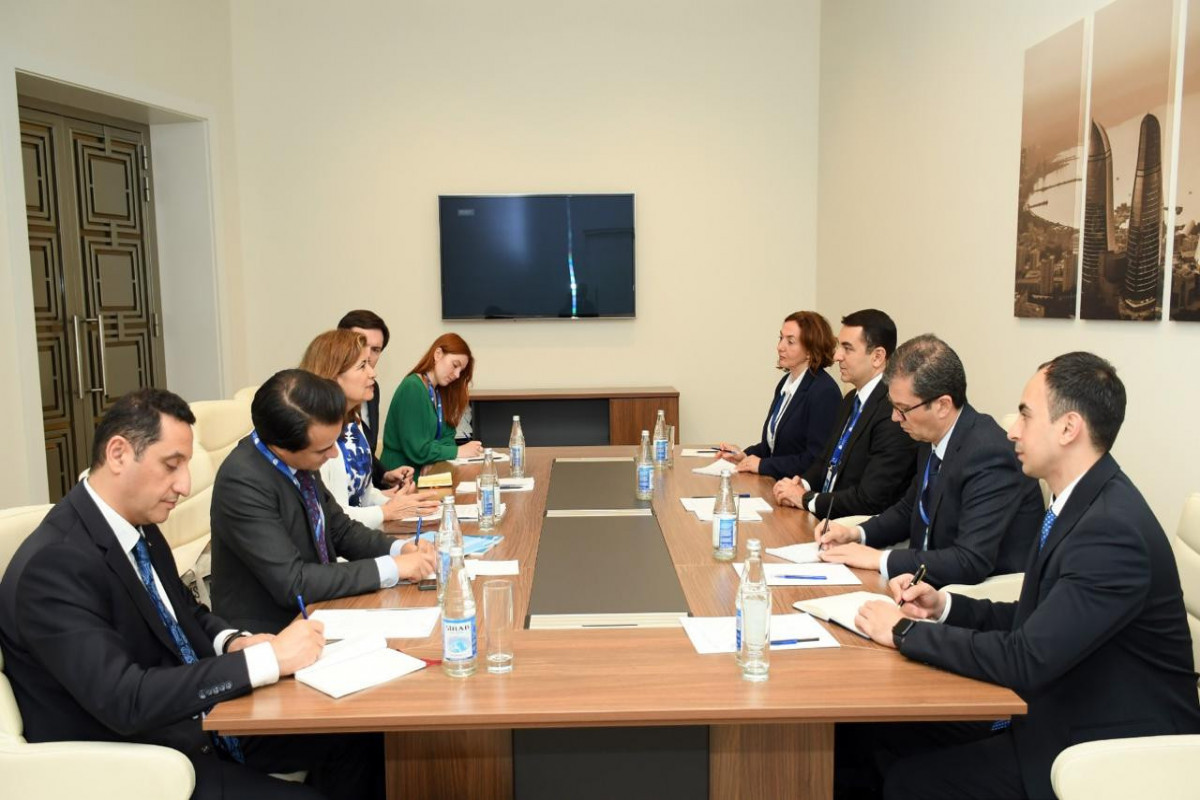 Обсуждено сотрудничество Азербайджана и ЮНЕСКО-ФОТО 