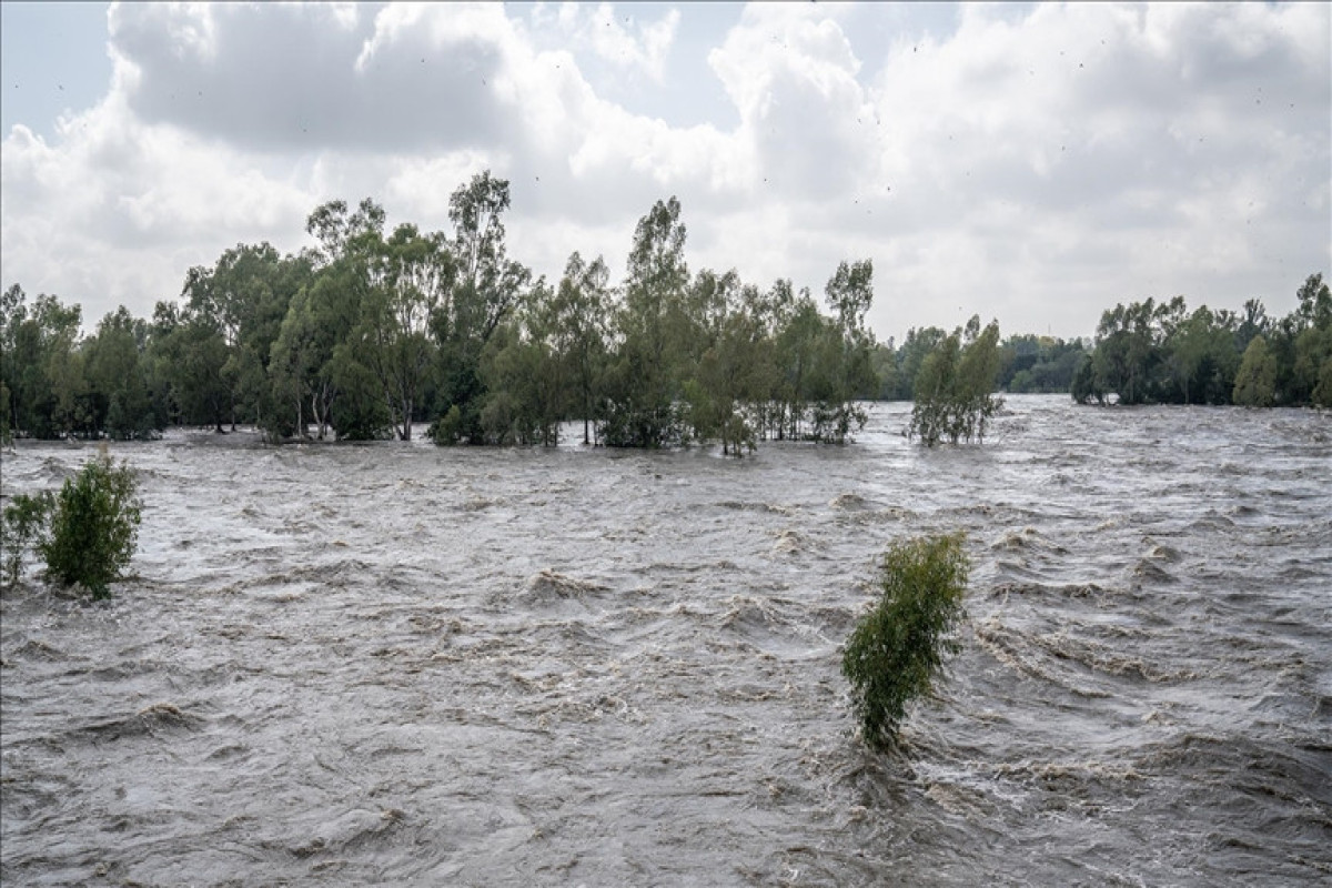 Число жертв наводнений в Кении достигло 228