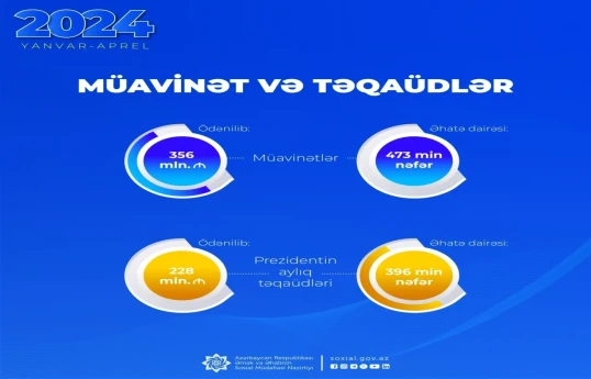 В этом году в Азербайджане выплачено по пособиям 356 млн. манатов, по президентским пенсиям 228 млн. манатов