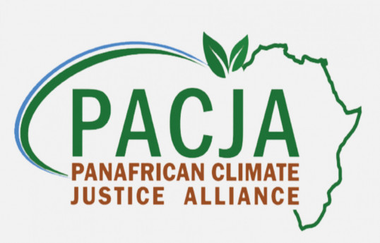 PACJA распространила заявление о лидерстве Азербайджана в сфере глобальных климатических действий
