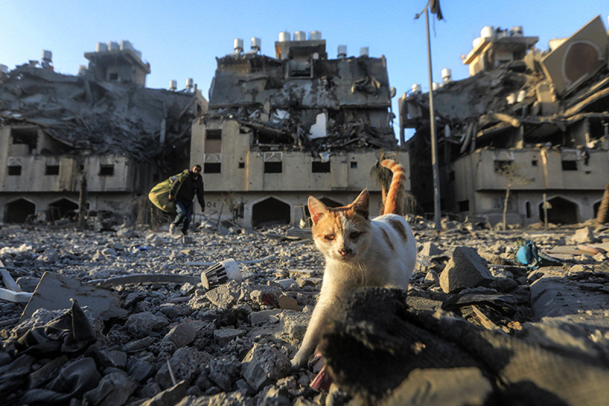 Минздрав Газы: Число жертв военной операции Израиля приблизилось к 35 тыс.