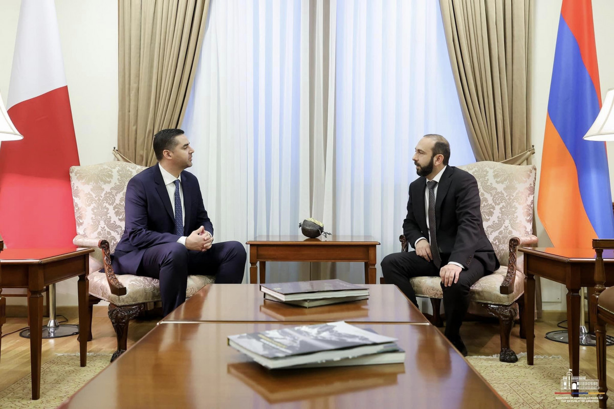 Мирзоян встретился в Ереване с председателем ОБСЕ