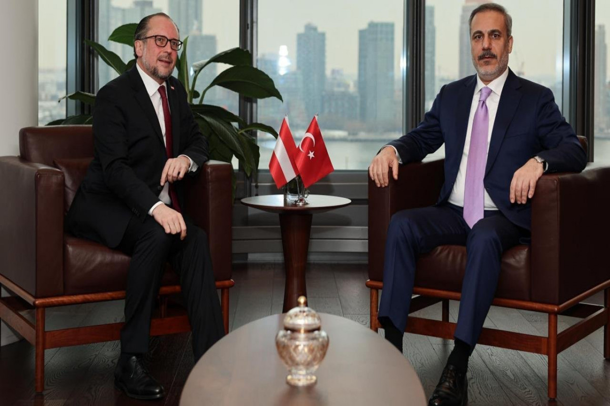 Австрия надеется, что Турция возьмет на себя роль посредника на Южном Кавказе