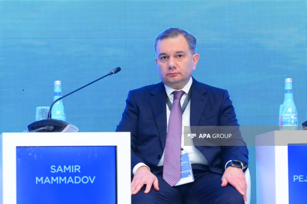 Замминистра: В Азербайджане 65% населения используют цифровой ID