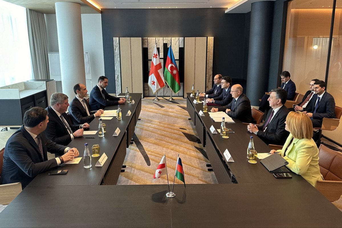 Азербайджан повышает внимание к совместному с Грузией проекту «Зеленого энергетического коридора Азербайджан-Черное море-Европа»