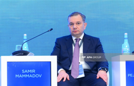 Замминистра: В Азербайджане 65% населения используют цифровой ID