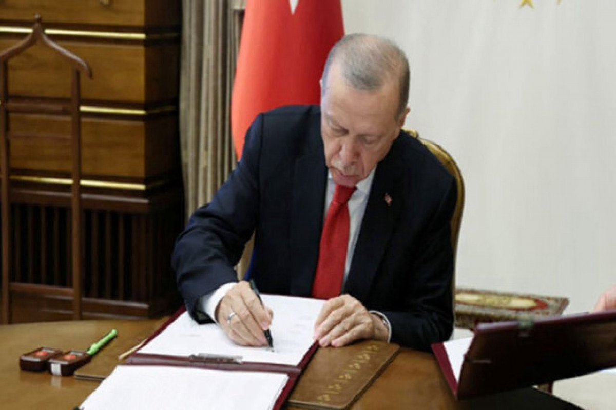 Президент Турции назначил новых заместителей главы МИД