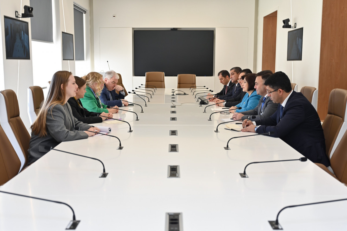 Встреча спикера Милли Меджлиса Сахибы Гафаровой с генеральным директором офиса ООН в Женеве Татьяной Валовой