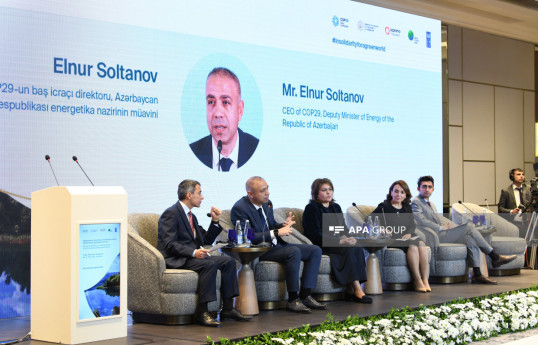 Замминистра: Главный вопрос COP29 – это финансовый вопрос