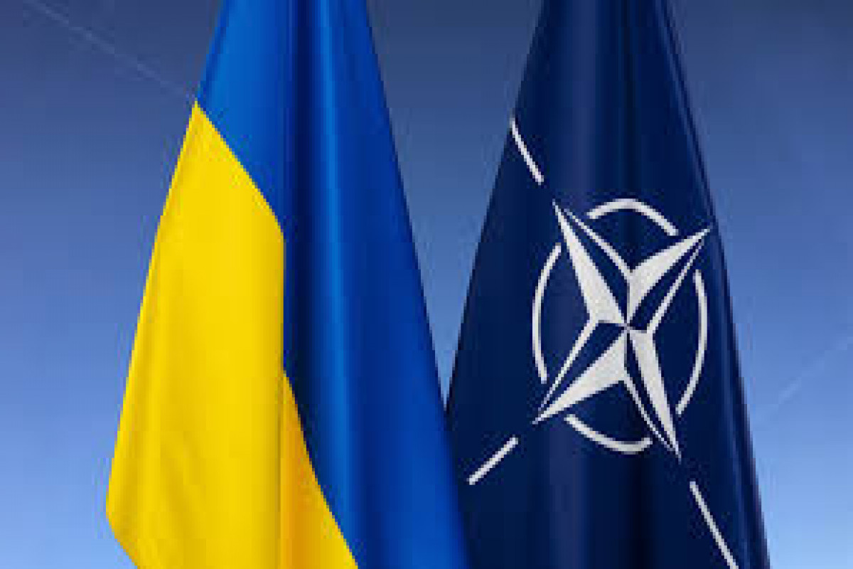 Парламентская ассамблея НАТО высказалась за разрешение Украине атаковать РФ оружием блока