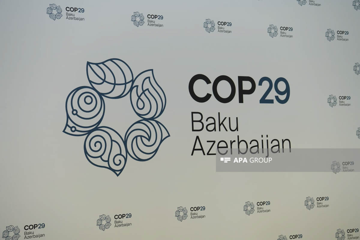 Глава МИД Азербайджана: Надеемся, что COP29 станет историей успеха