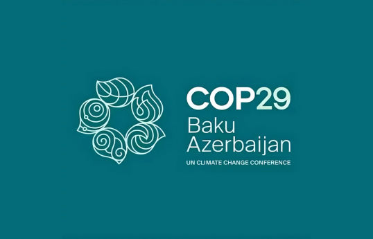Волонтеры COP29 приняли участие в акции по очистке на Лянкяранском побережье Каспийского моря