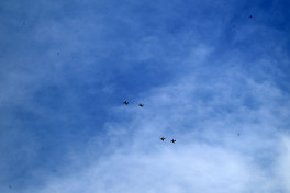 В азербайджанской армии проведены тактические учения с боевой стрельбой - ВИДЕО 